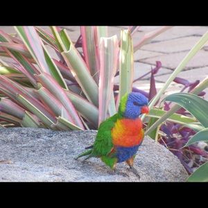 Meet your Posher, Ana